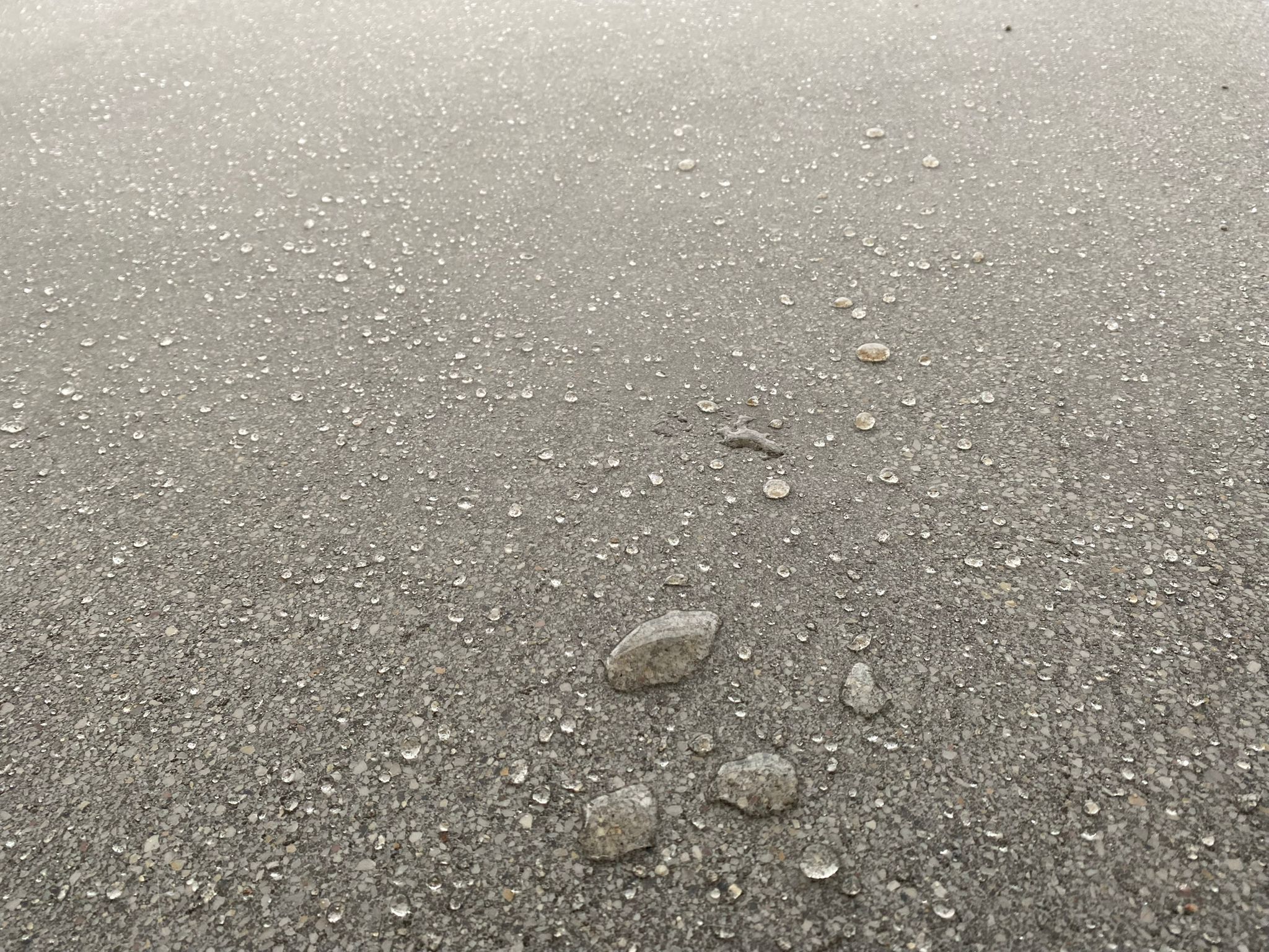 Aviagen referans proje 2